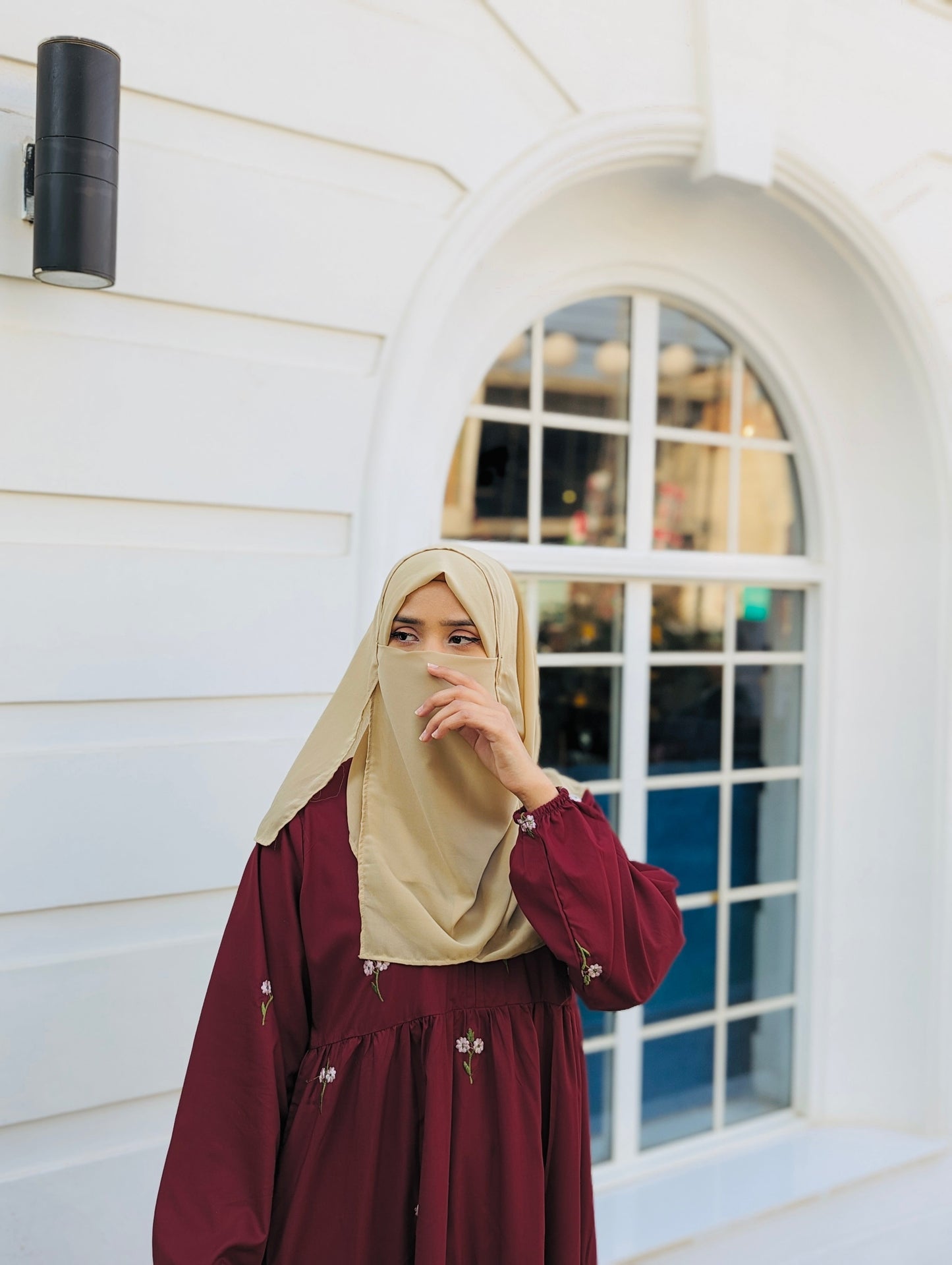 Maroon Embroidered Dress