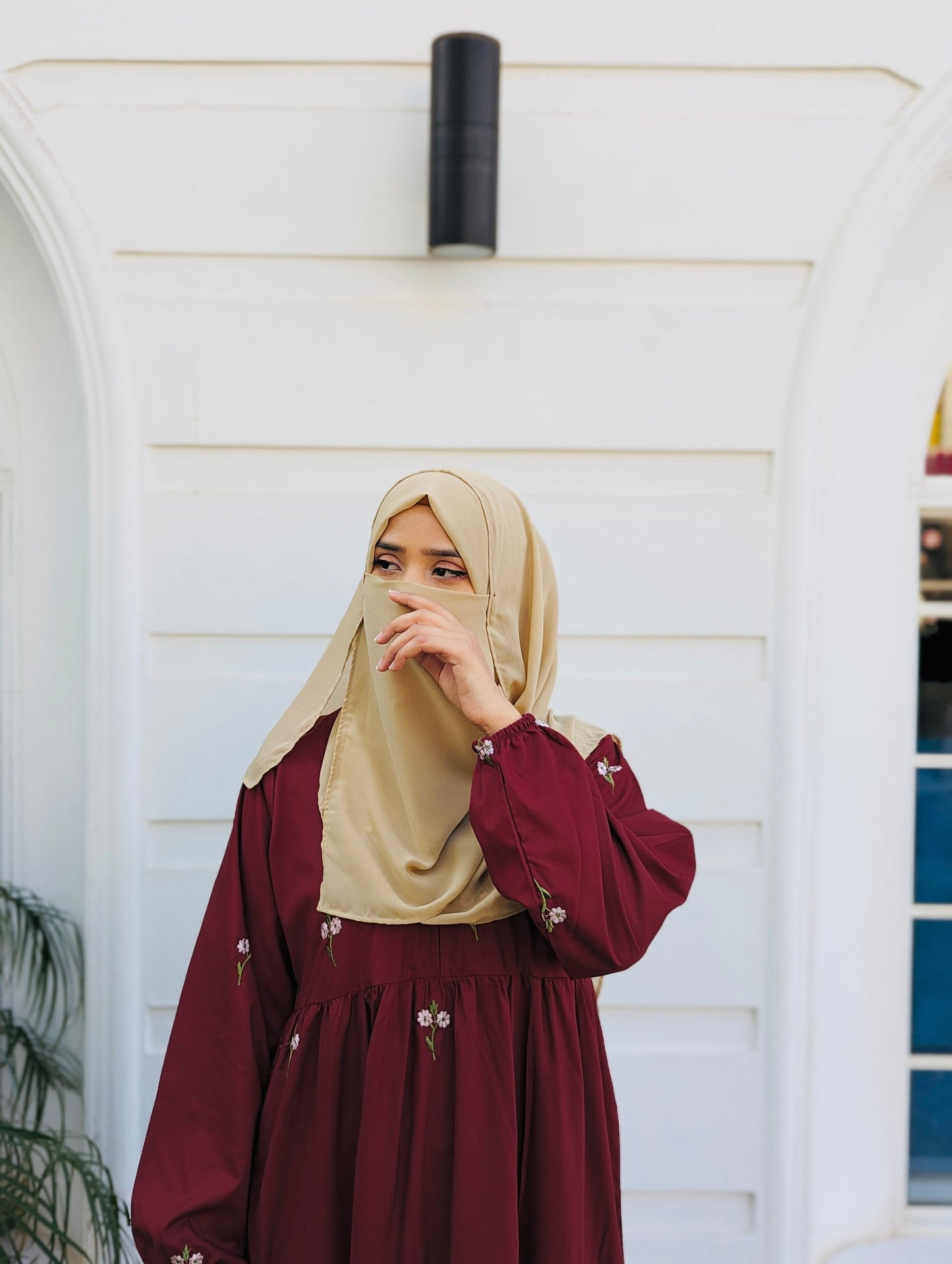 Maroon Embroidered Dress